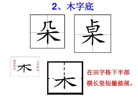 7劃的字屬木|木字旁7画的字